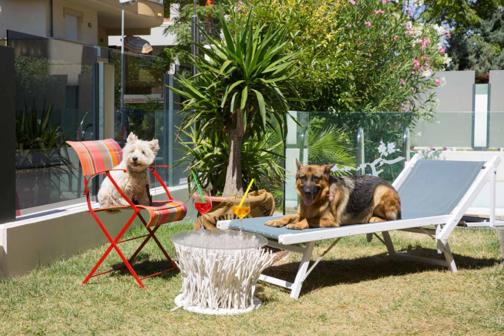 residence pet friendly Riccione
