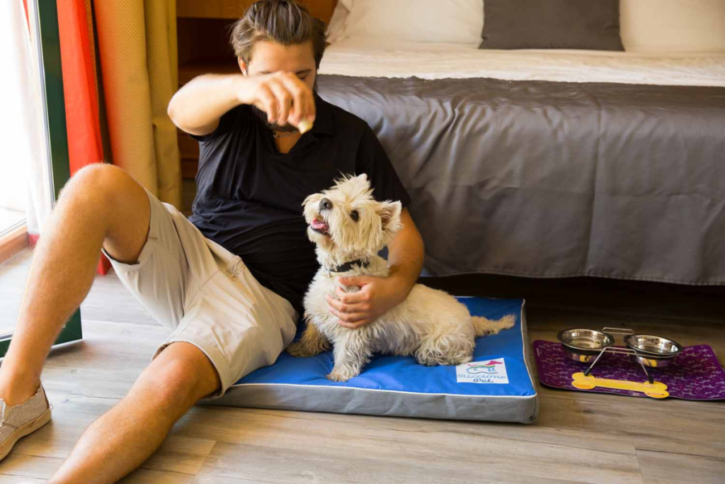 residence pet friendly Riccione