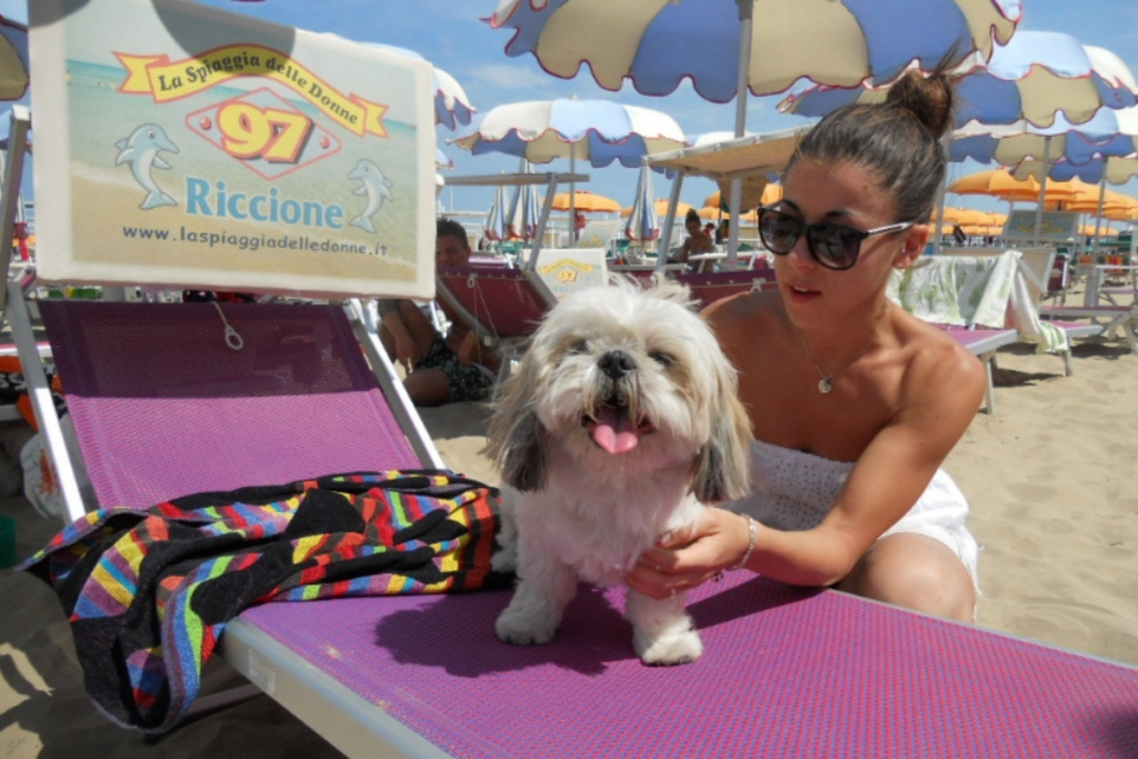 in spiaggia con il cane a Riccione